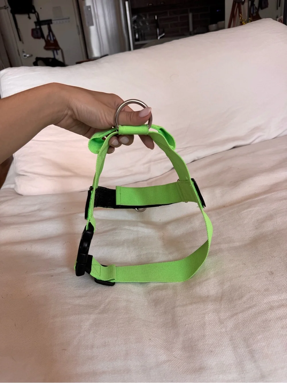 Neon Green No-Pull Dog Harness with D Ring